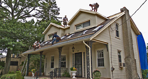 Best Roof Repair Services  in Unalaska, AK